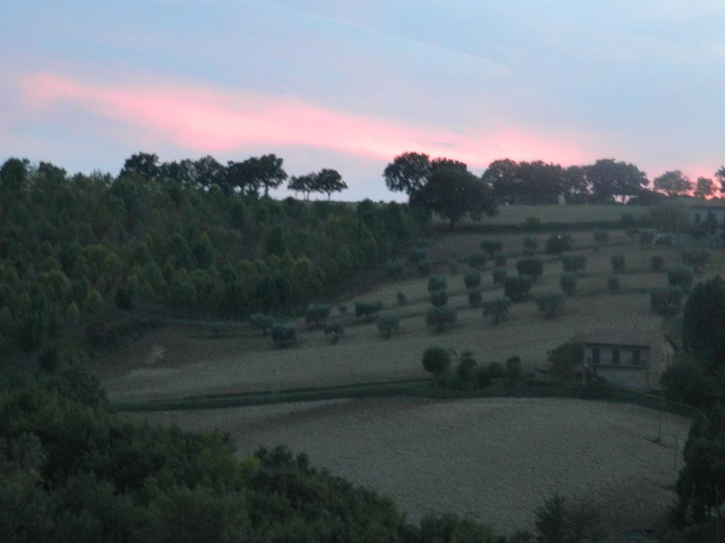 B&B Casa Girasole Papiano ภายนอก รูปภาพ